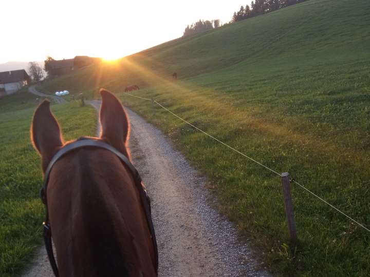 Bauernhof Katzbach, Langnau