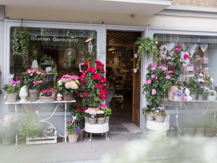 Blumen Gardyland, Langnau