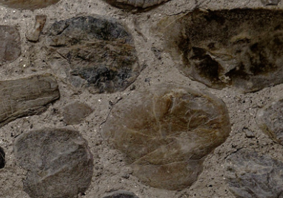 Langnauer Keller-Theater