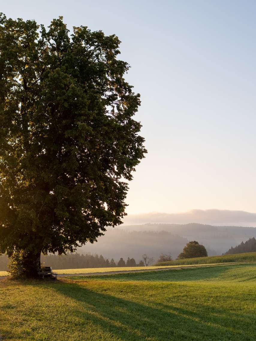 Events in der Region