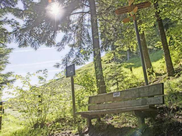 Langnauer Liebespfad