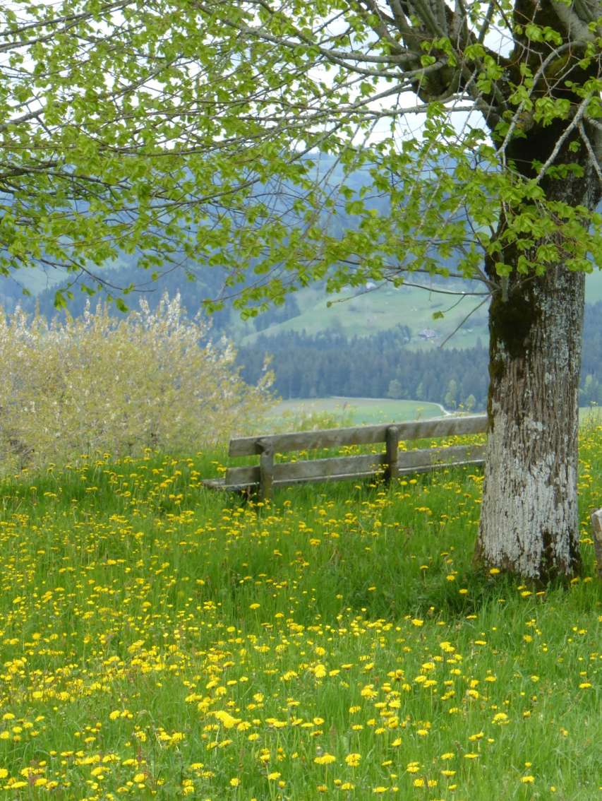 Wandern