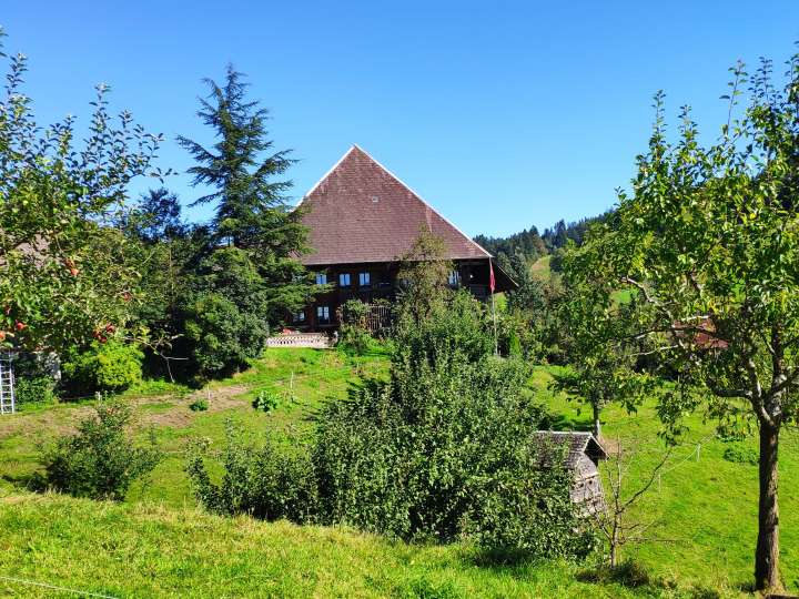 Bed & Breakfast Raingut